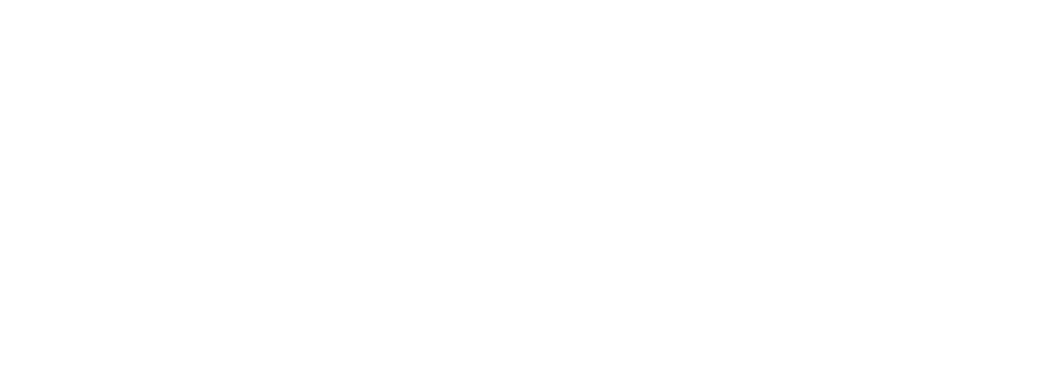 Nijmegen Equity Partners Corporation